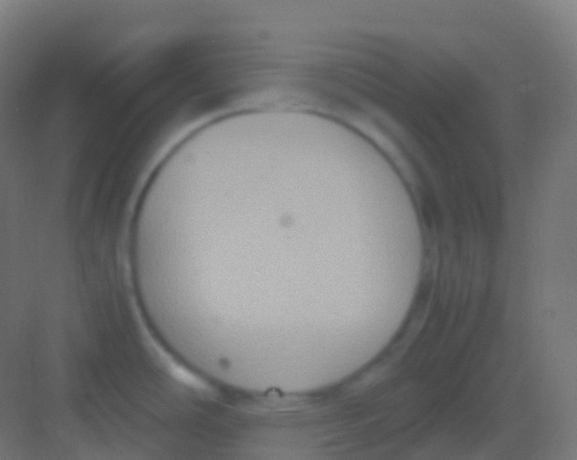 X0000081311486200702082057