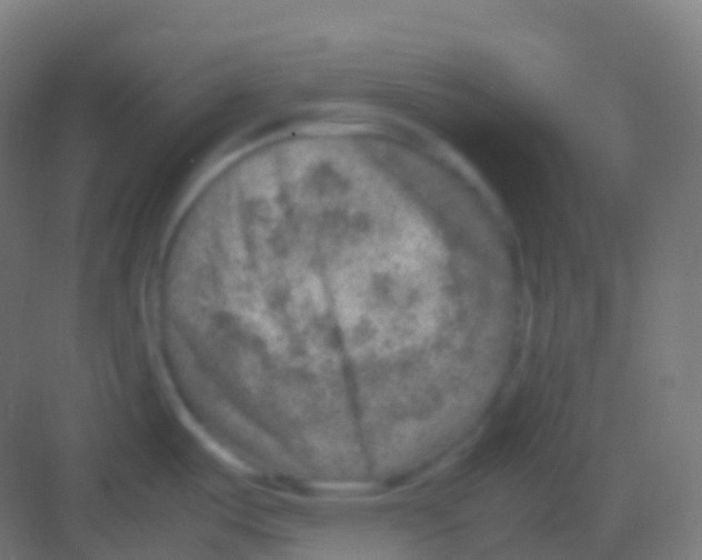 X0000081311487200702082057