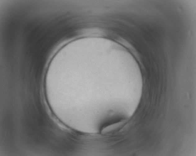 X0000081311488200702082057