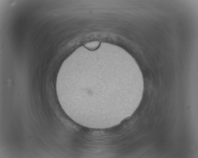 X0000081311489200702082056