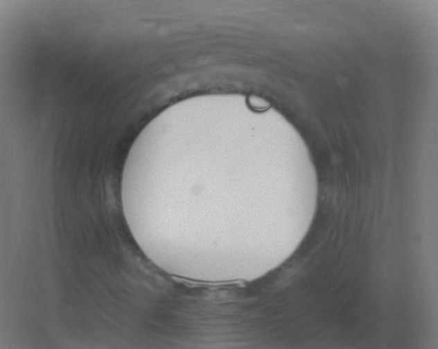 X0000081311490200702082056