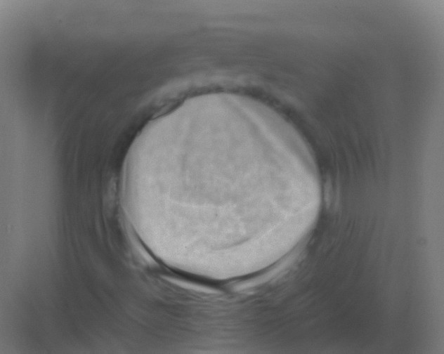 X0000081311492200702082056