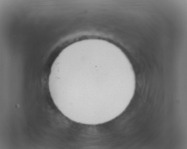 X0000081311495200702082056