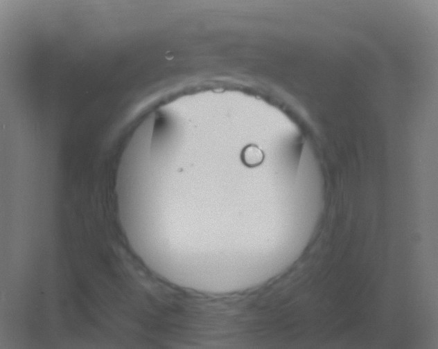 X0000081311496200702082056