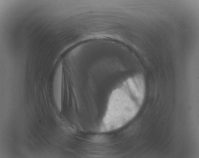 X0000081311497200702082056