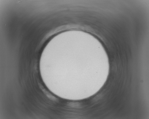 X0000081311499200702082056