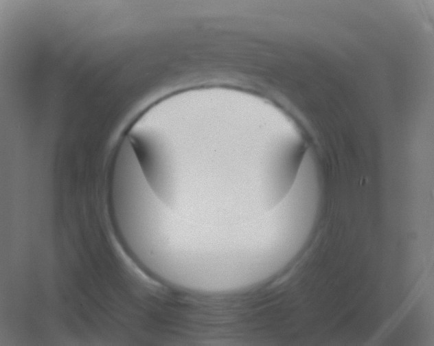 X0000081311500200702082056