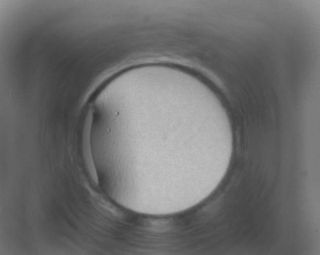 X0000081311501200702082056