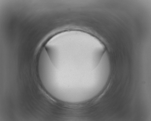 X0000081311502200702082057