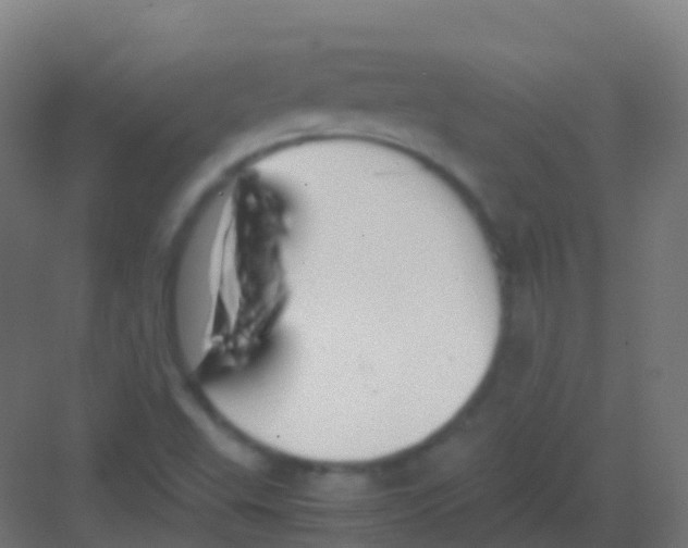 X0000081311503200702082057