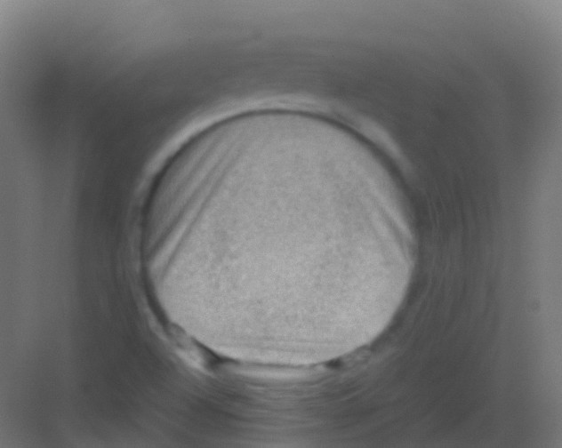 X0000081311504200702082057