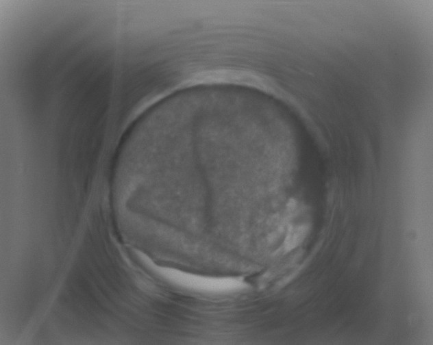 X0000081311505200702082057