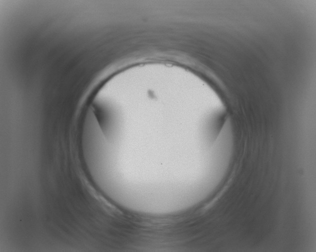 X0000081311506200702082057