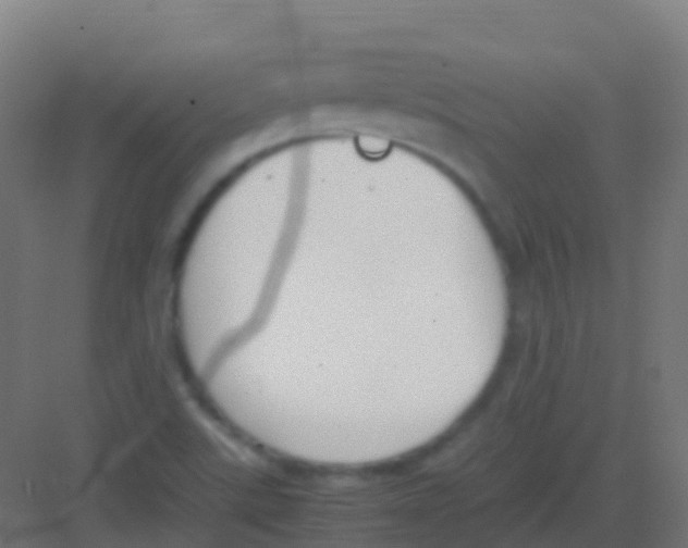 X0000081311507200702082057