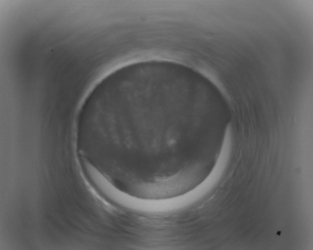 X0000081311508200702082057