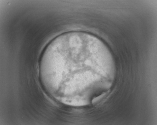 X0000081311509200702082057