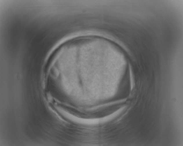 X0000081311510200702082057