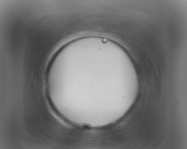 X0000081311511200702082057