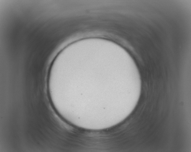 X0000081311512200702082057