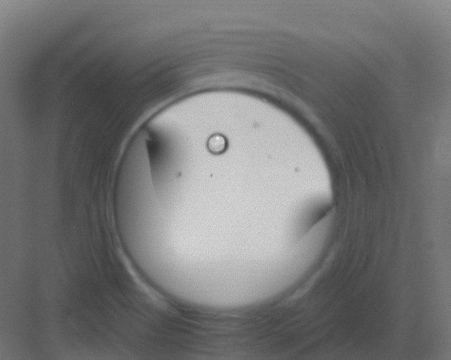 X0000081311513200702082057