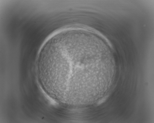 X0000081311514200702082057