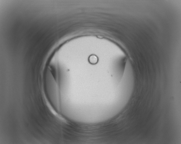 X0000081311515200702082057