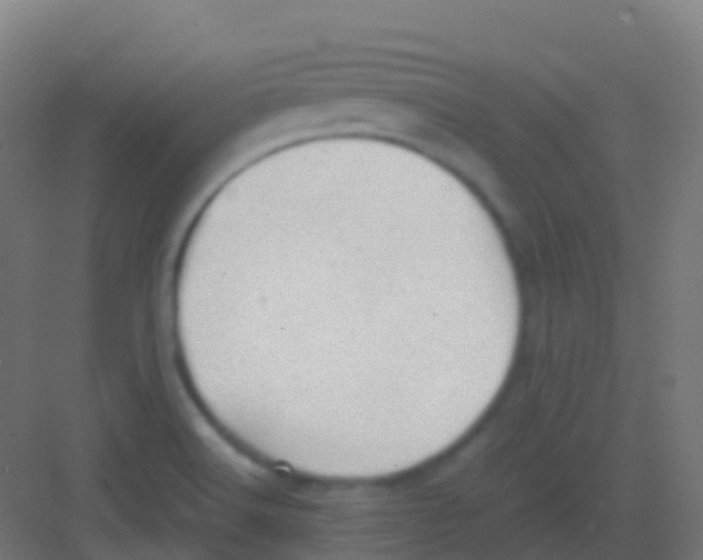 X0000081311516200702082057