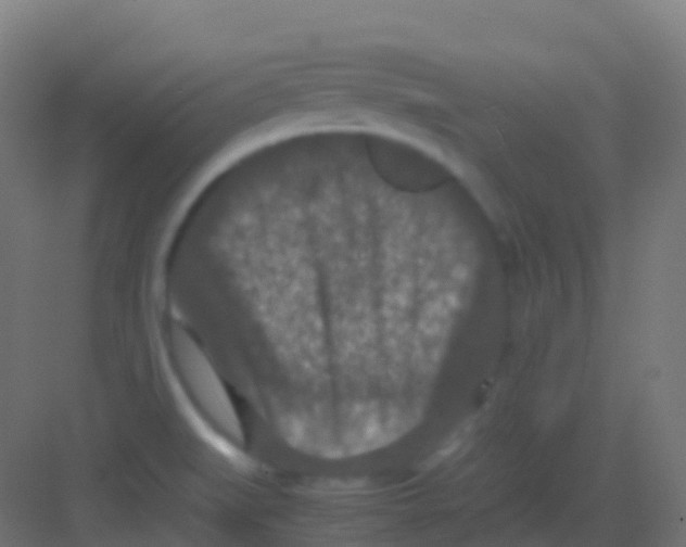 X0000081311519200702082057