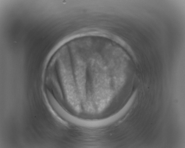 X0000081311520200702082057