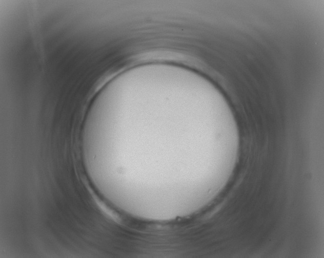 X0000081311521200702082057