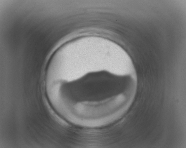 X0000081311522200702082057