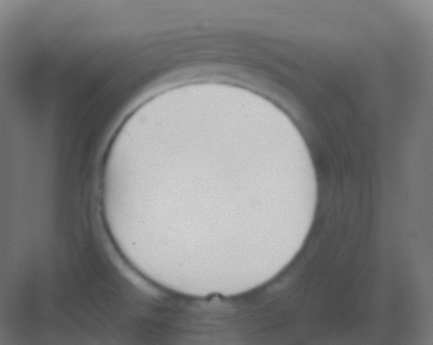 X0000081311526200702082057