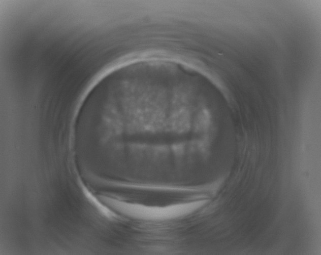 X0000081311527200702082057