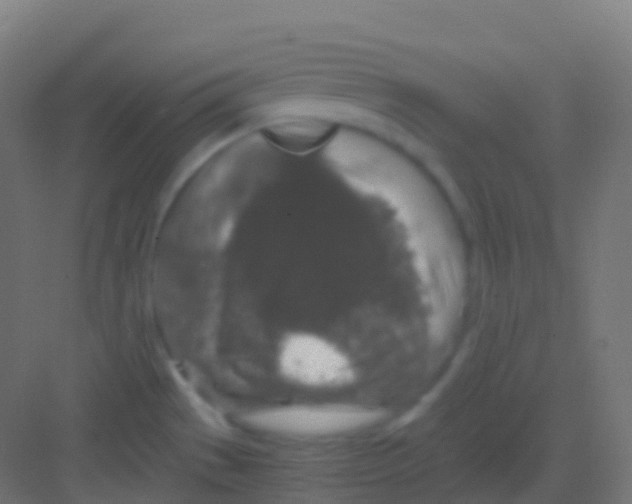 X0000081311529200702082057