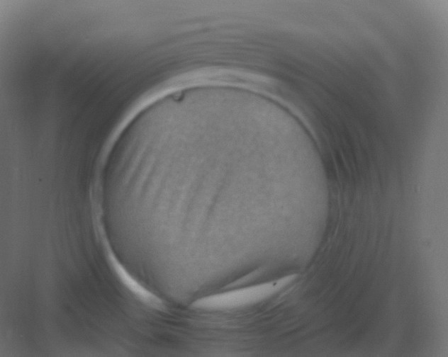 X0000081311531200702082057