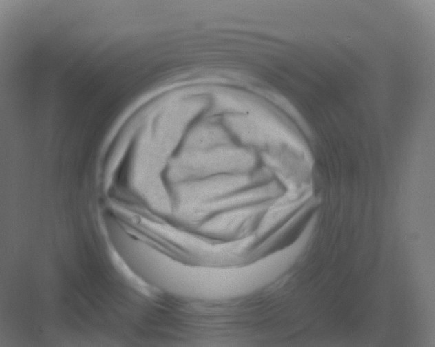 X0000081311532200702082057