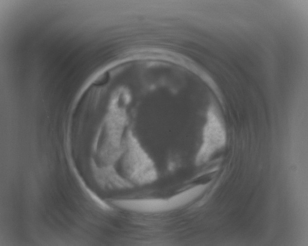 X0000081311533200702082057