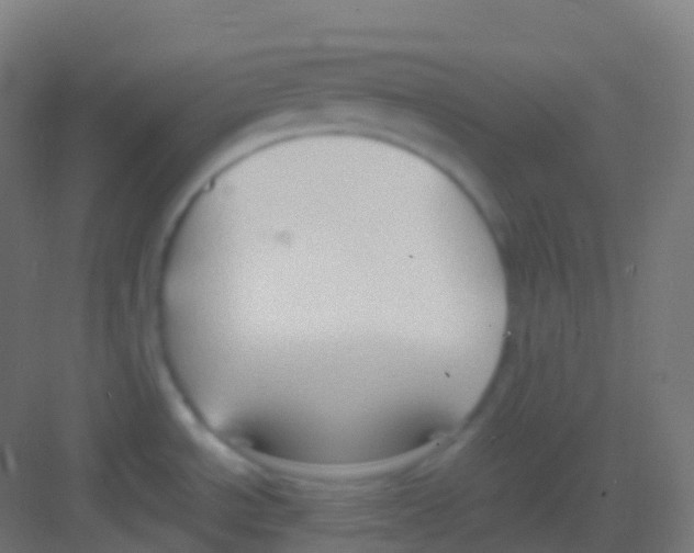 X0000081311534200702082057