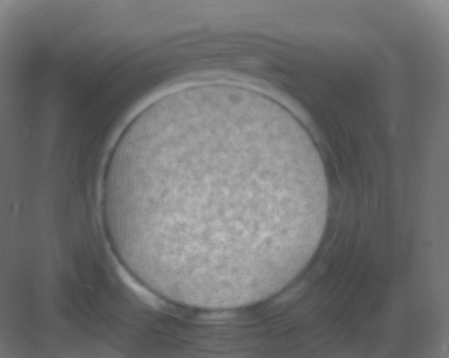 X0000081311535200702082057