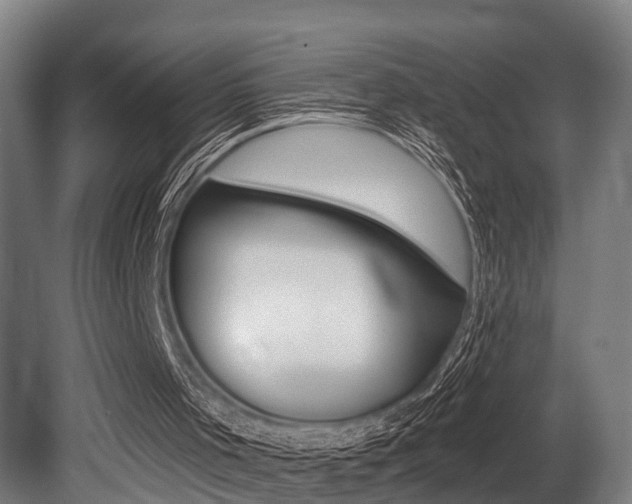 X0000081320001200701111041