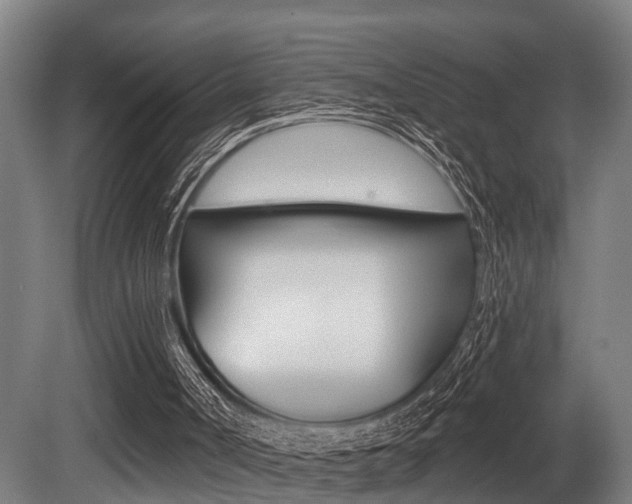 X0000081320002200701111041