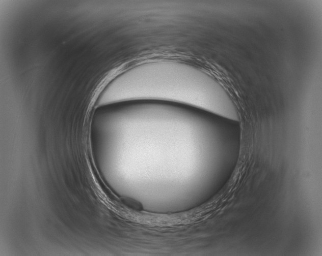 X0000081320003200701111041