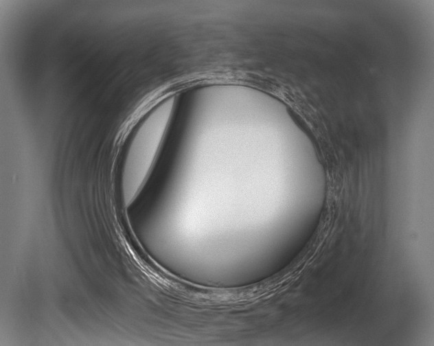 X0000081320005200701111041