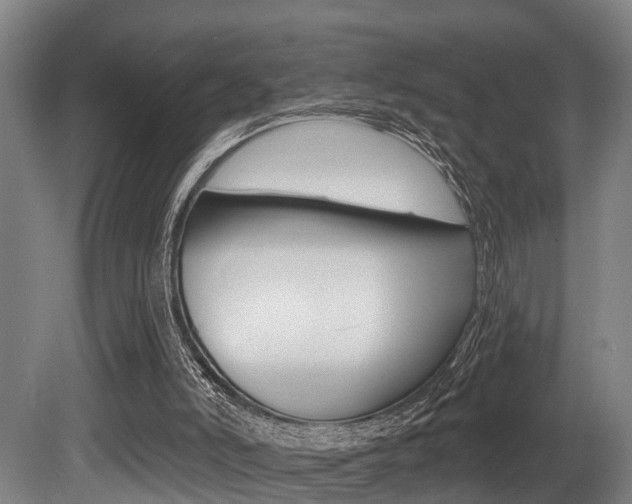 X0000081320006200701111041