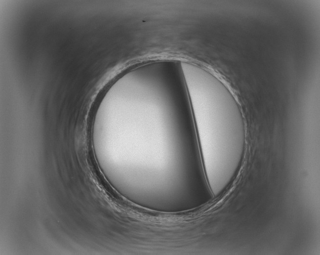 X0000081320008200701111041