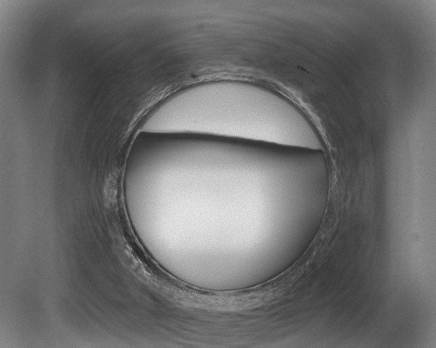 X0000081320010200701111041