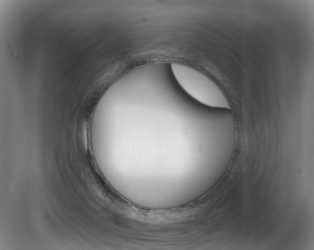 X0000081320022200701111040
