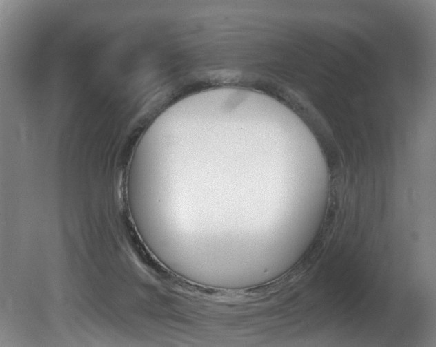 X0000081320024200701111040
