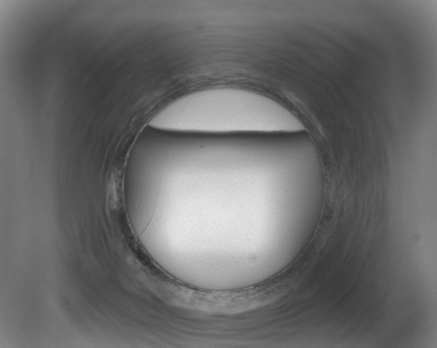 X0000081320026200701111040