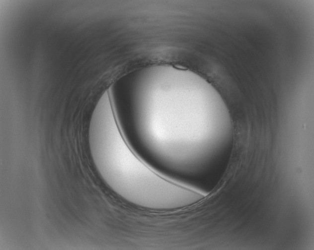 X0000081320029200701111040